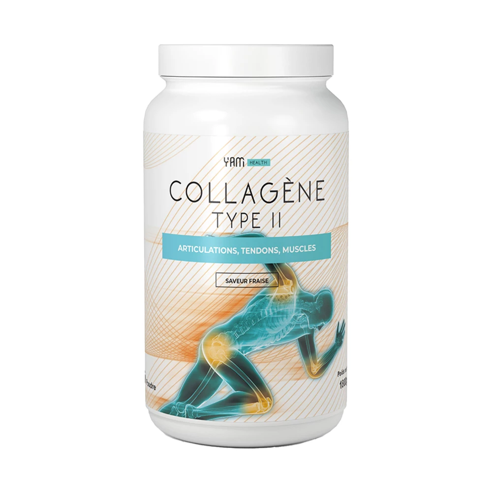 Collagène Type II